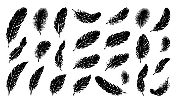 Realistic Black Feather Vector Set with Falling Angel and Bird Feathers Isolated on White Background