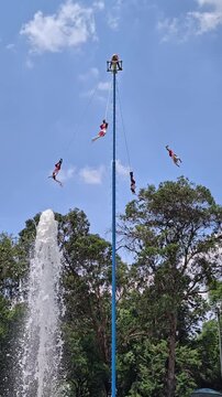 Mexico City, Mexico: 2.7.2026: The Voladores de Papantla perform their breathtaking UNESCO-recognized flying ceremony beside a fountain in Mexico City. Suspended from a towering ceremonial pole, the p