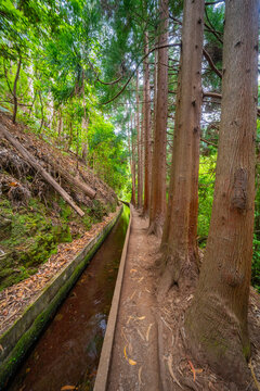 Levada Faja dos Rodrigues, Mountain Footpath, Irrigation Channel Maintenance Trail, Madeira, Portugal, Europe