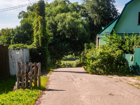 Sunny rural asphalt road in village with green houses and lush trees on summer day