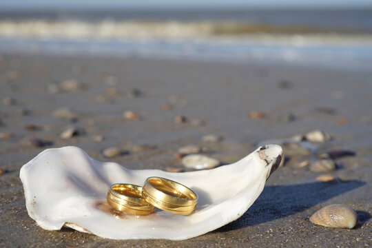 Wedding rings on shell by the beach