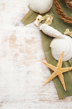 Starfish and seashells on white wood frame with copy space