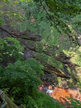 Mossy rock canyon and stream in deep forest ravine