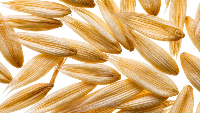 Isolated close-up of natural dried oat hulls with fibrous texture scattered on a surface
