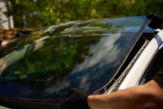 Teamwork Windshield replacement. Two mechanics lift heavy auto glass from white vehicle frame. Technicians detach old vehicle glass using coordinated manual labor