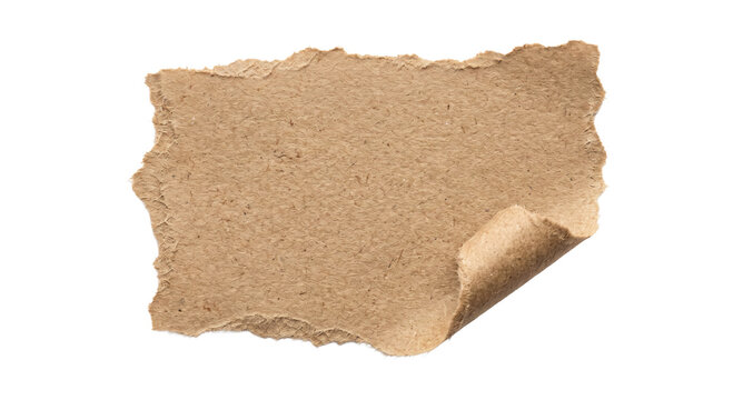 Torn piece of rough brown cardboard with a curled corner on white background
