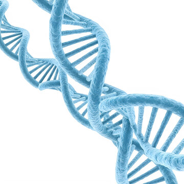 Blue dna strand helix model