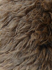Fototapeta premium Close Up of Brown Sheep Wool Texture