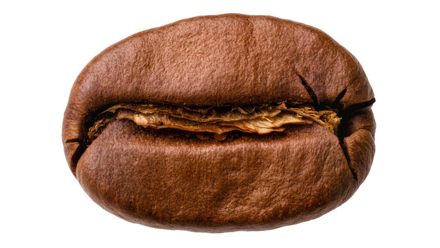 Isolated single roasted coffee bean macro shot showing natural texture and rich brown color