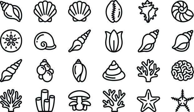 Sea Shell and Coral Reef Icon Set Featuring Marine Wildlife Ocean Treasures and Coastal Beach Vector Graphic Elements