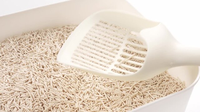White plastic litter scoop sifting clumping cat litter in clean white litter box for pet care routine