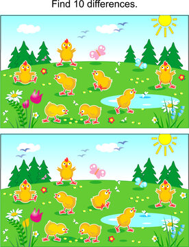 Picture puzzle: Find seven differences between the two pictures of cute little chicks feeding outdoor. Answer included.
