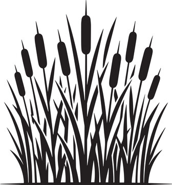 Cattail and reed bush silhouette vector illustration with marsh plants for natural wetland design projects