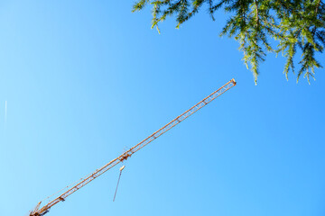 Yellow construction crane boom framed by green pine tree branches under a clear blue sky. High angle perspective of modern building equipment and nature. © YuliiaKettu