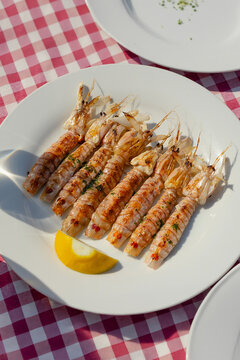 Grilled mantis shrimp canocchie on red checkered tablecloth Italian trattoria seafood dish