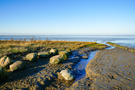 View of the landscape by the beach near Dangast. Coastal nature in North Frisia.
