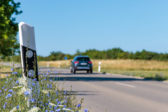 German country road with a delineator post and blooming blue wild chicory flowers (Cichorium intybus) in summer, car driving in background
