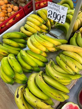 Bunches of green bananas for sale at a local market with a price tag showing 2.99 euros
