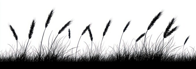 Naklejka premium windswept silhouette of tall grass and wheat stalks with seed heads in a serene black and white minimalist panorama