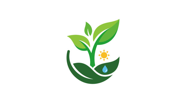 Green plant with sun and water drop, symbolizing sustainable growth and environmental care.