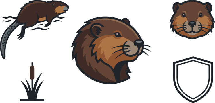 North American Beaver Mascot Vector Set with Profile Head Logo, Swimming Animal, Cattail Reed, and Shield Elements