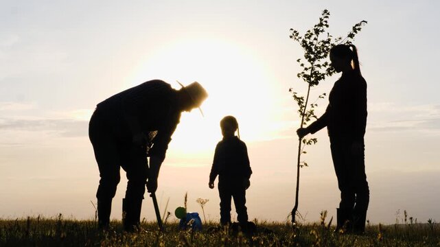 Farm family grows tree, Silhouette at dusk, Environmental education, Learning in garden, Planting for prosperity, Responsible parenting, Evening therapy, Family environmentalism, Outdoor childhood