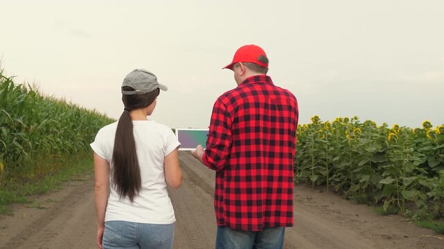 Agriculture, teamwork, business partner farmer agriculture, handshake sign of deal, harvest, fresh soil grow crops, business farmers field corn sunflower teamwork group people cap working digital