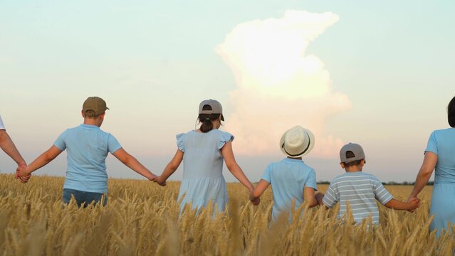 happy family, parents man woman holding children hands sunset park, mother father parents kid outdoors nature, parents teaching values, summer play agricultural, in a golden field, outdoor crop