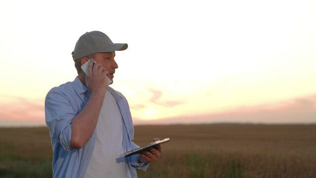 Farmer talking smartphone wheat field, male farmer worker phone sunset, hand holding digital tablet, business success industry, farm owner reviewing app in sunset glow, smart farming technology in