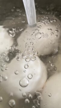 Boiling Fresh Eggs in Pot of Water on Stove
