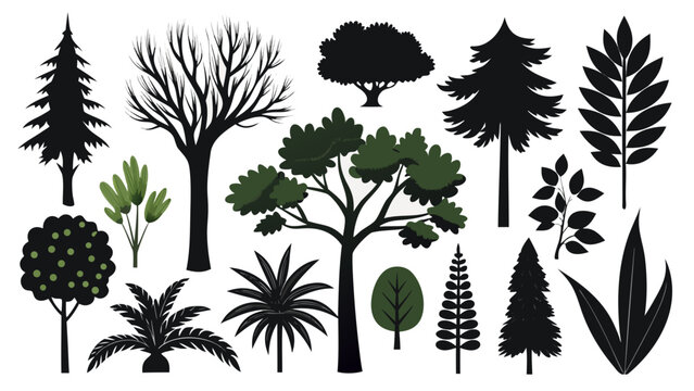 Silhouette collection of various trees and leaves on white background. Set of botanical icons including pine, palm, oak, maple, willow, cactus, fern, and foliage for nature design projects. vector