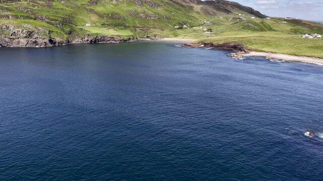 Aerial view of basking sharks in Donegal Bay - Ireland
