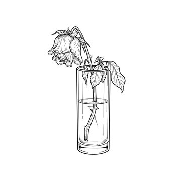 Wilted rose glass line art sadness blog