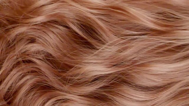 Super slow motion of beautiful smooth healthy long flowing brown hair. Close up composition. Hair for a shampoo commercial. High quality FullHD footage