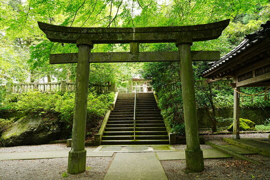 Torii Gate of Kinjingu Shrine in Hakusan City, Ishikawa Prefecture, Japan - 日本 石川県 白山市 金劔宮 鳥居 金運の神社 