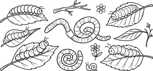 Cute caterpillar and earthworm coloring set with leaves flowers snail garden bugs vector black line art illustration. © Mina Begum