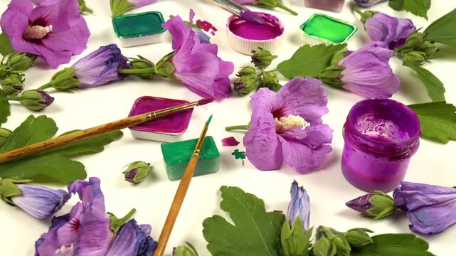 Flowers of purple mallow flowers, pans of various green, pink, purple paints, painting brushes laid out on a white background, top view, colors of nature