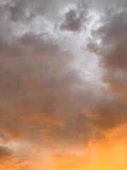 Fototapeta premium Orange sunset clouds and sky in the forest