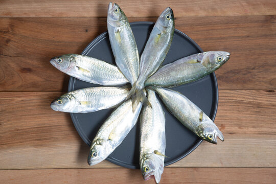 Bluefish