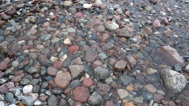 Clear stream flowing gently over colorful stones with driftwood in close-up. Peaceful natural waterscape with transparent water, subtle camera movement and relaxing nature ambience.