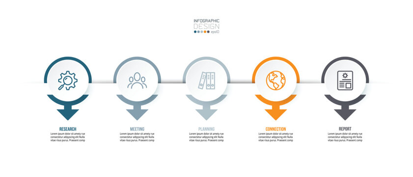 Timeline chart business infographic template.