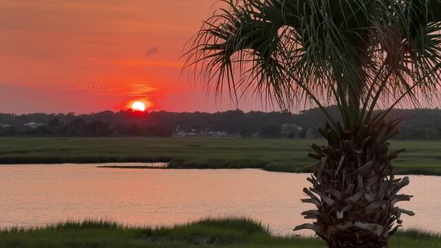 Establishing shot of a gorgeous sunset across an inlet at the beach with a palm tree and copy space