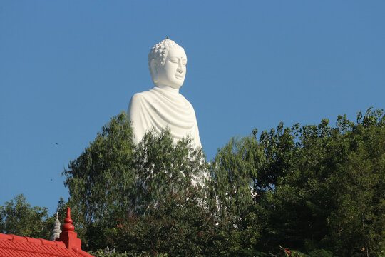 Giant White Buddha statue sitting on a hill framed by lush green tree branches against a blue sky.
