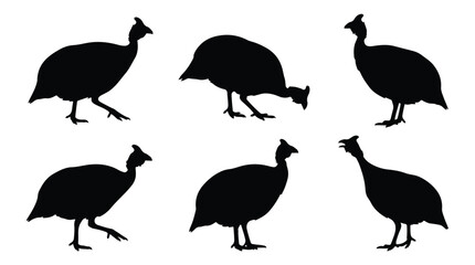 Obraz premium A set of six guinea fowl bird with ducklings in various poses silhouette vector icon illustrations on a white background 