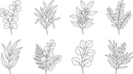 Obraz premium Hand drawn botanical branch set featuring various eucalyptus and fern foliage elements in a clean black line art style