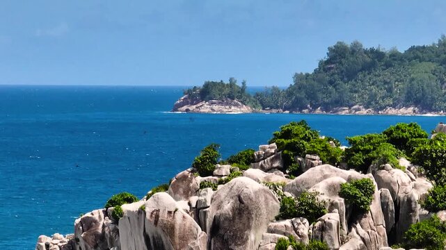 An island coastline featuring granite rocks and vibrant green vegetation under a clear sky. Seychelles, Mahe.