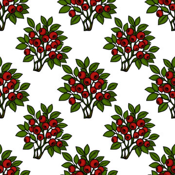 Seamless pattern with red cranberry bushes, vector illustration of forest berry plant
