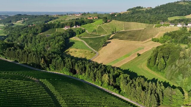 Summer drone footage shows Styria vineyards glowing in sunset light, rolling hills covered in green rows, warm atmosphere, calm landscape, smooth motion capturing quiet beauty of wine country.