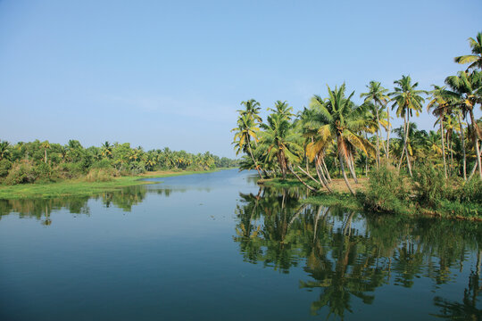 Serene Kerala backwaters lined with lush coconut palms reflected in calm waters beneath a clear blue sky in Kerala, India