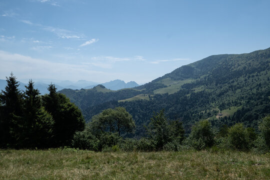 Rolling alpine meadows and forested hills of Val Palot beneath a clear summer sky in Lombardy northern Italy landscape